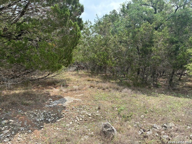 1268 Overbrook Lane Spring Branch TX 78070