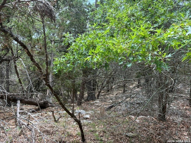 1268 Overbrook Lane Spring Branch TX 78070