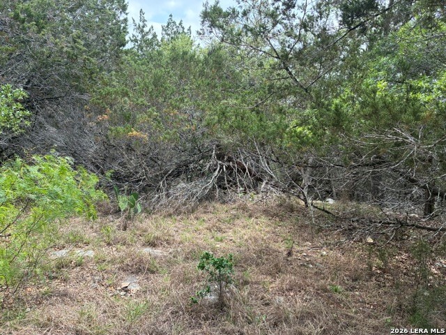 1268 Overbrook Lane Spring Branch TX 78070