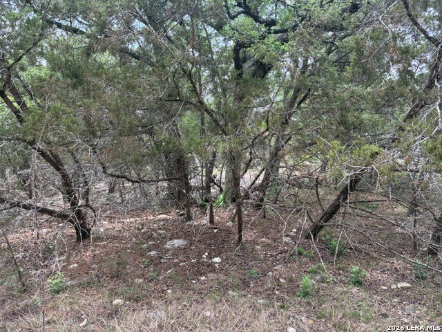 1268 Overbrook Lane Spring Branch TX 78070