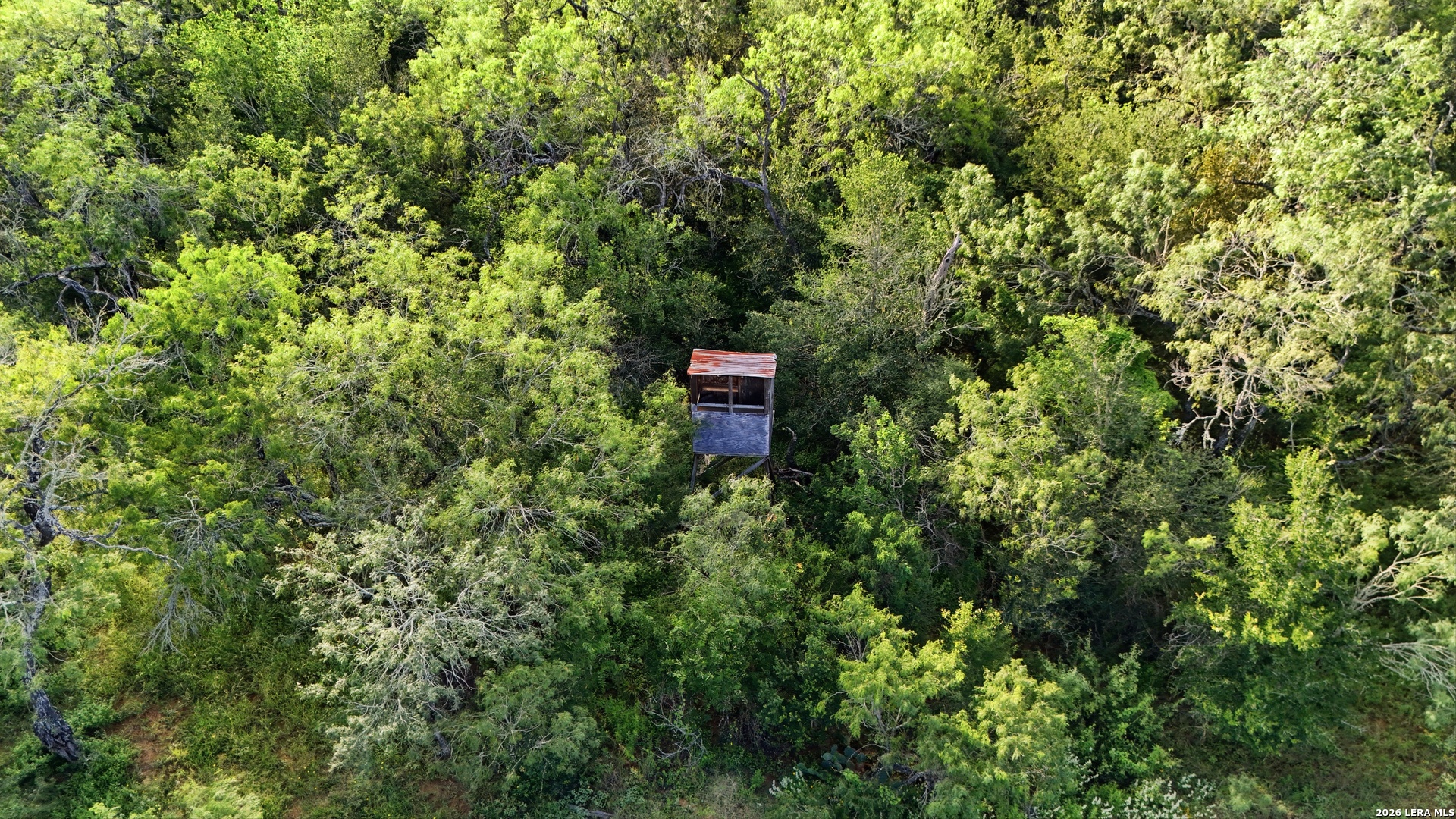 645 Marrou Road (Lot 7) Seguin TX 78155