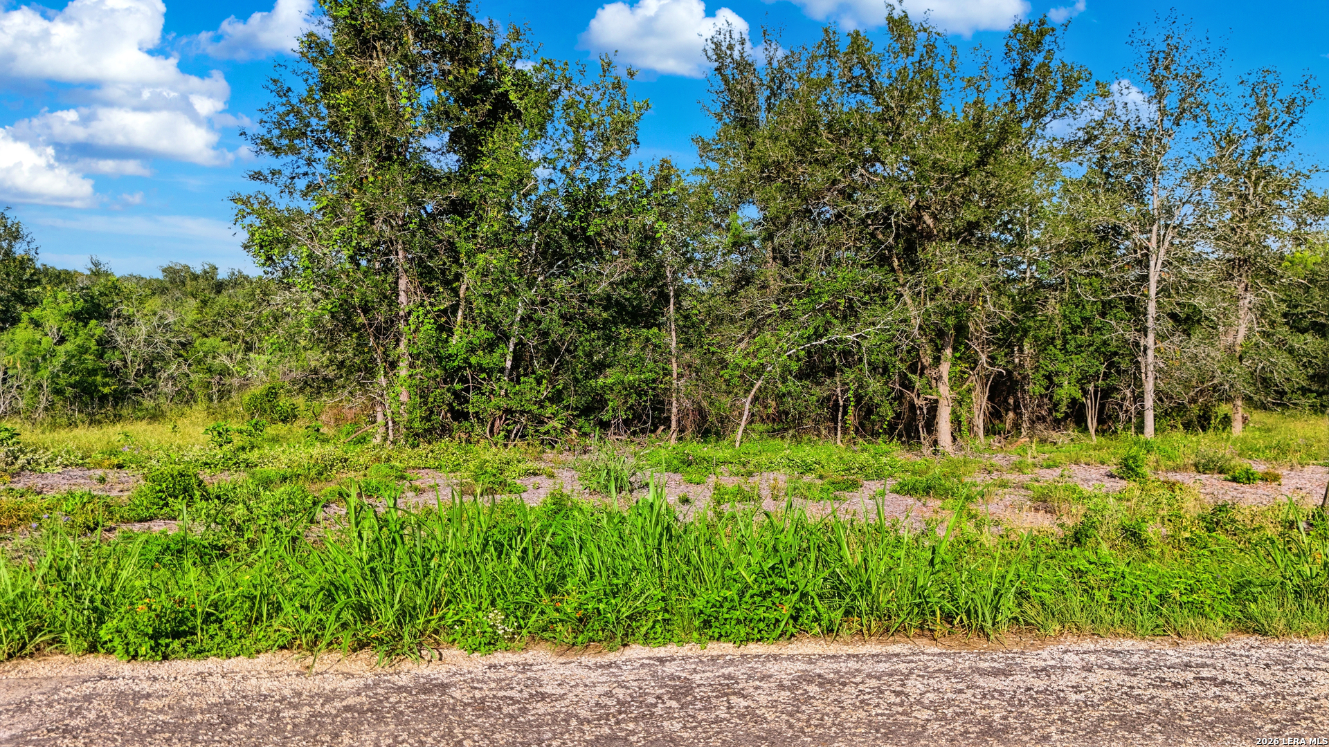 645 Marrou Road (Lot 7) Seguin TX 78155