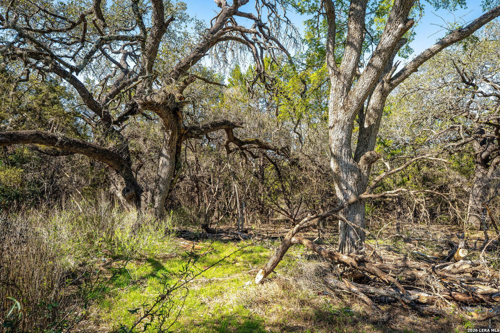 487 Old Bear Creek New Braunfels TX 78132
