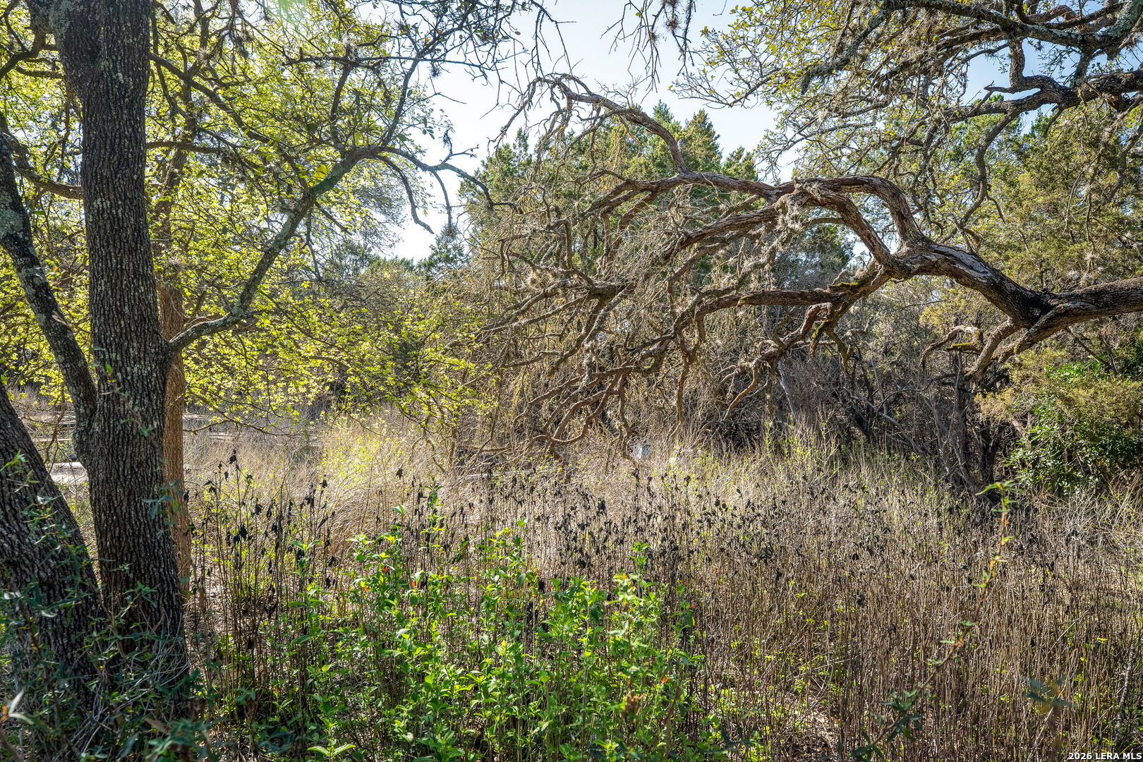487 Old Bear Creek New Braunfels TX 78132