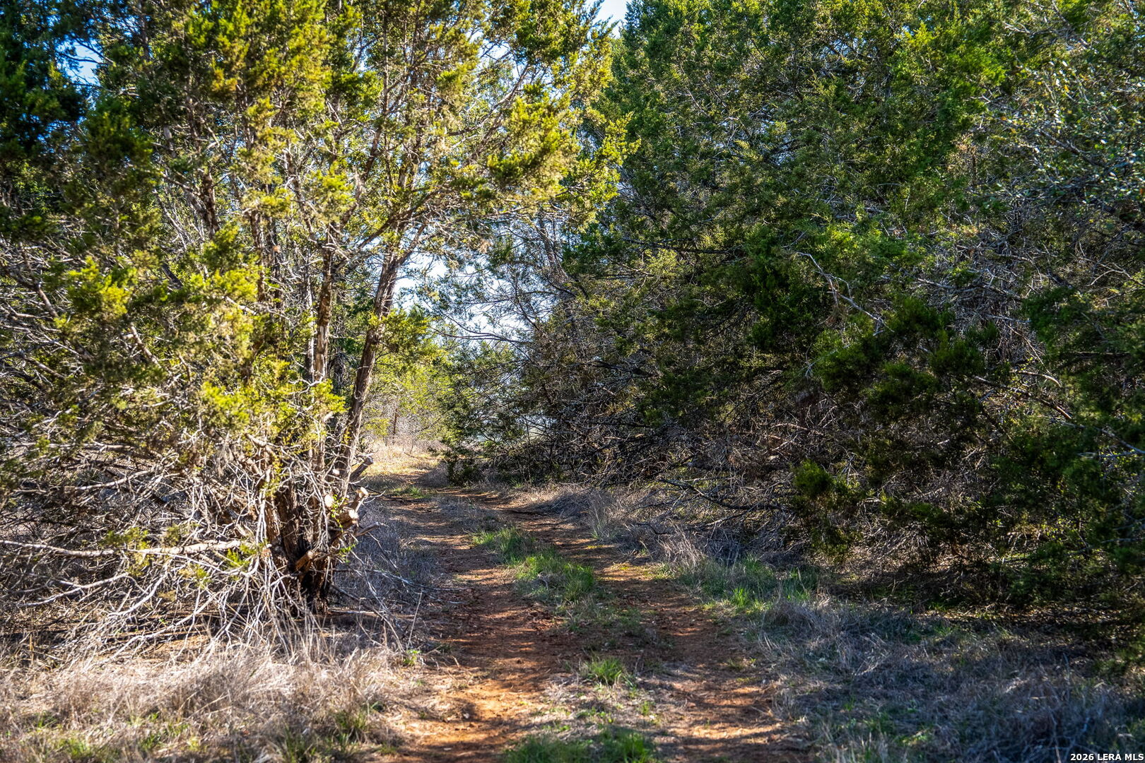 487 Old Bear Creek New Braunfels TX 78132