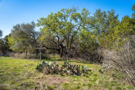 487 Old Bear Creek New Braunfels TX 78132