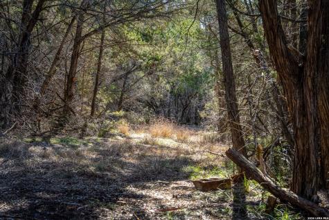 487 Old Bear Creek New Braunfels TX 78132