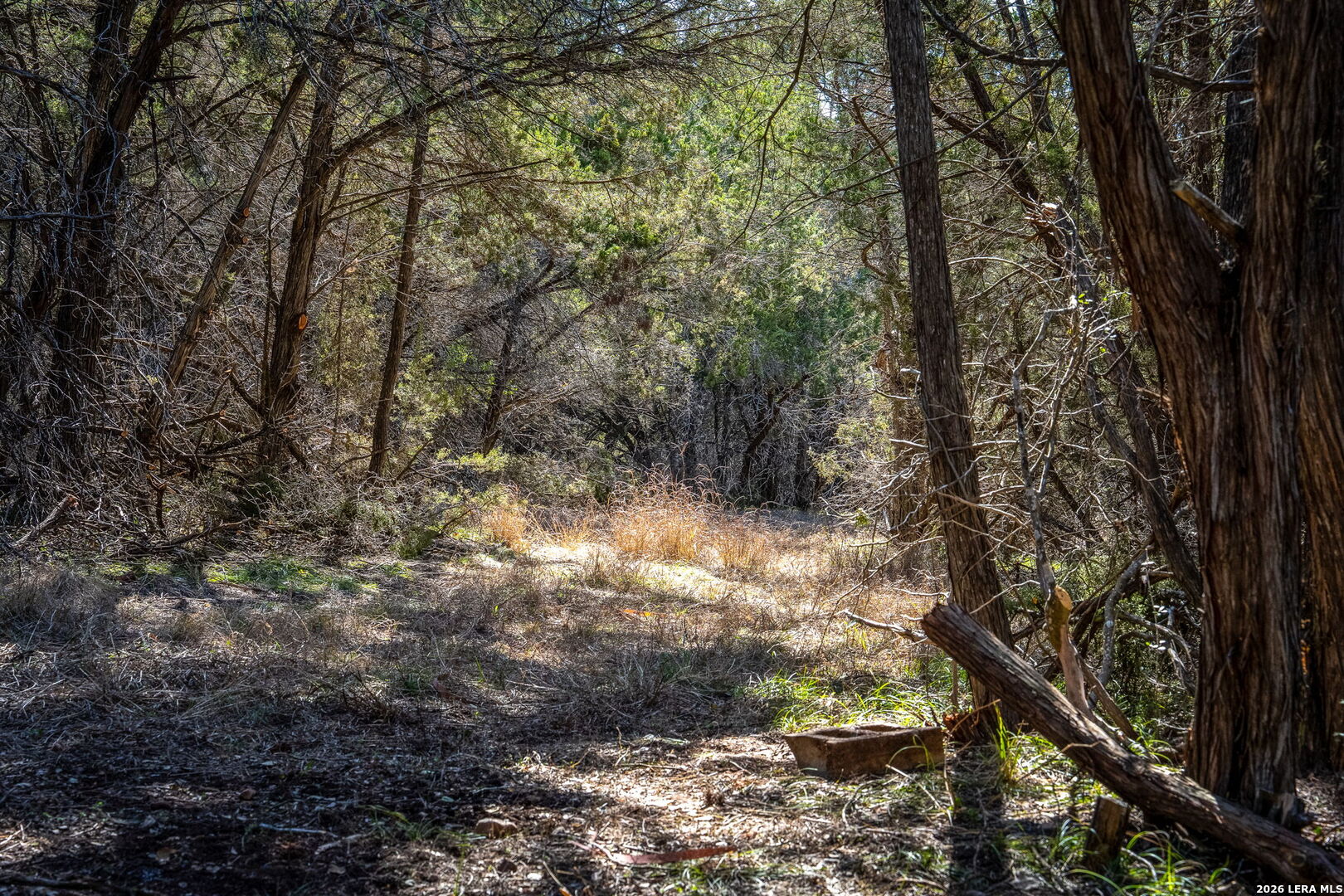 487 Old Bear Creek New Braunfels TX 78132