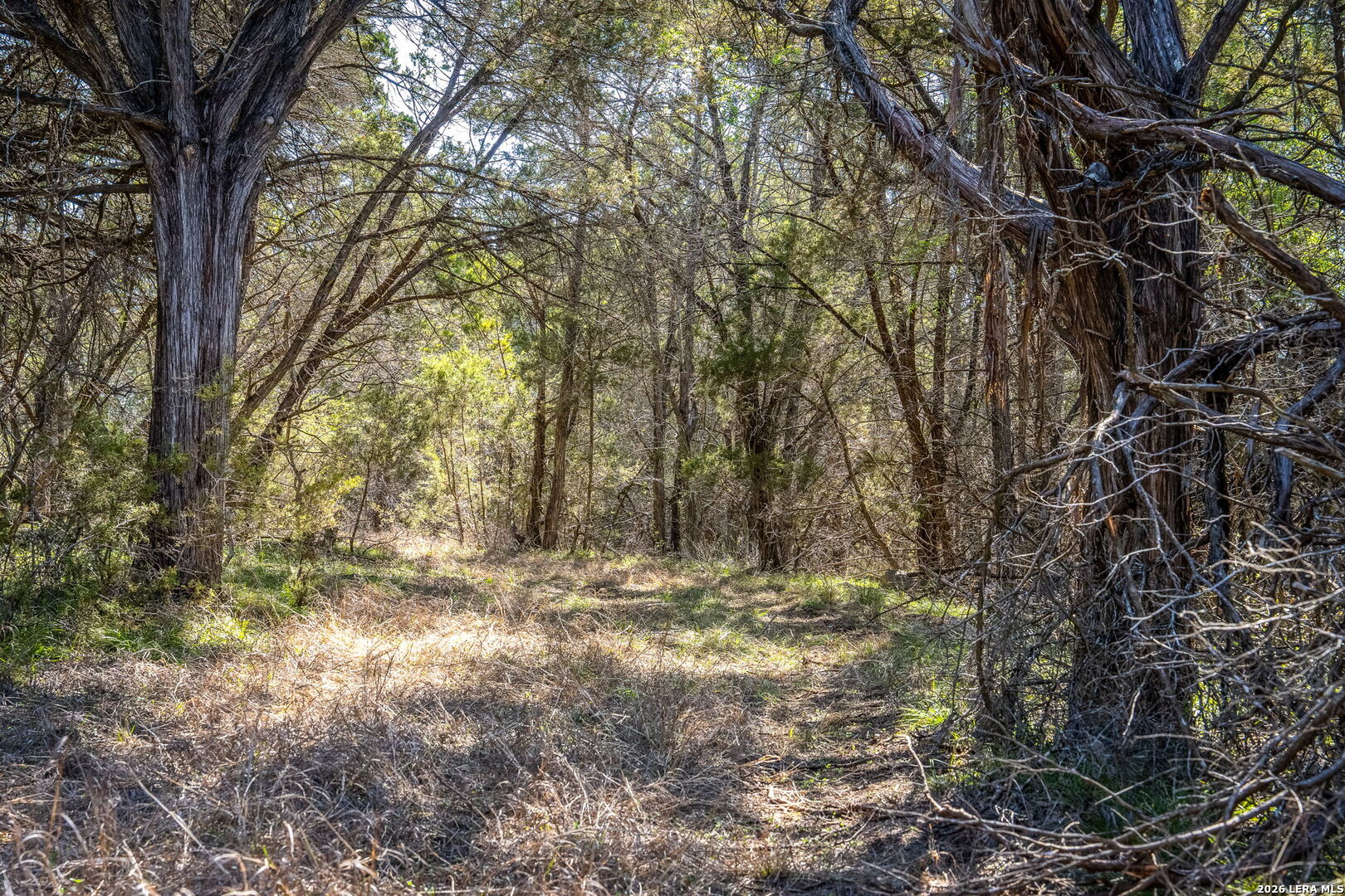 487 Old Bear Creek New Braunfels TX 78132