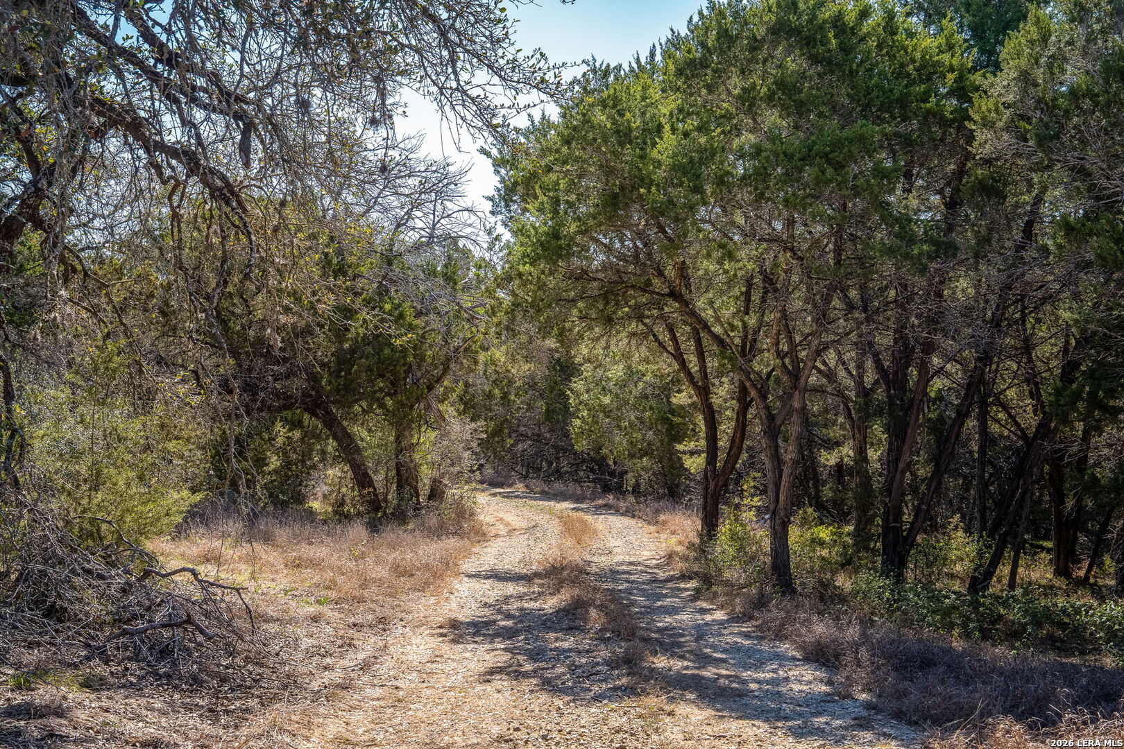487 Old Bear Creek New Braunfels TX 78132