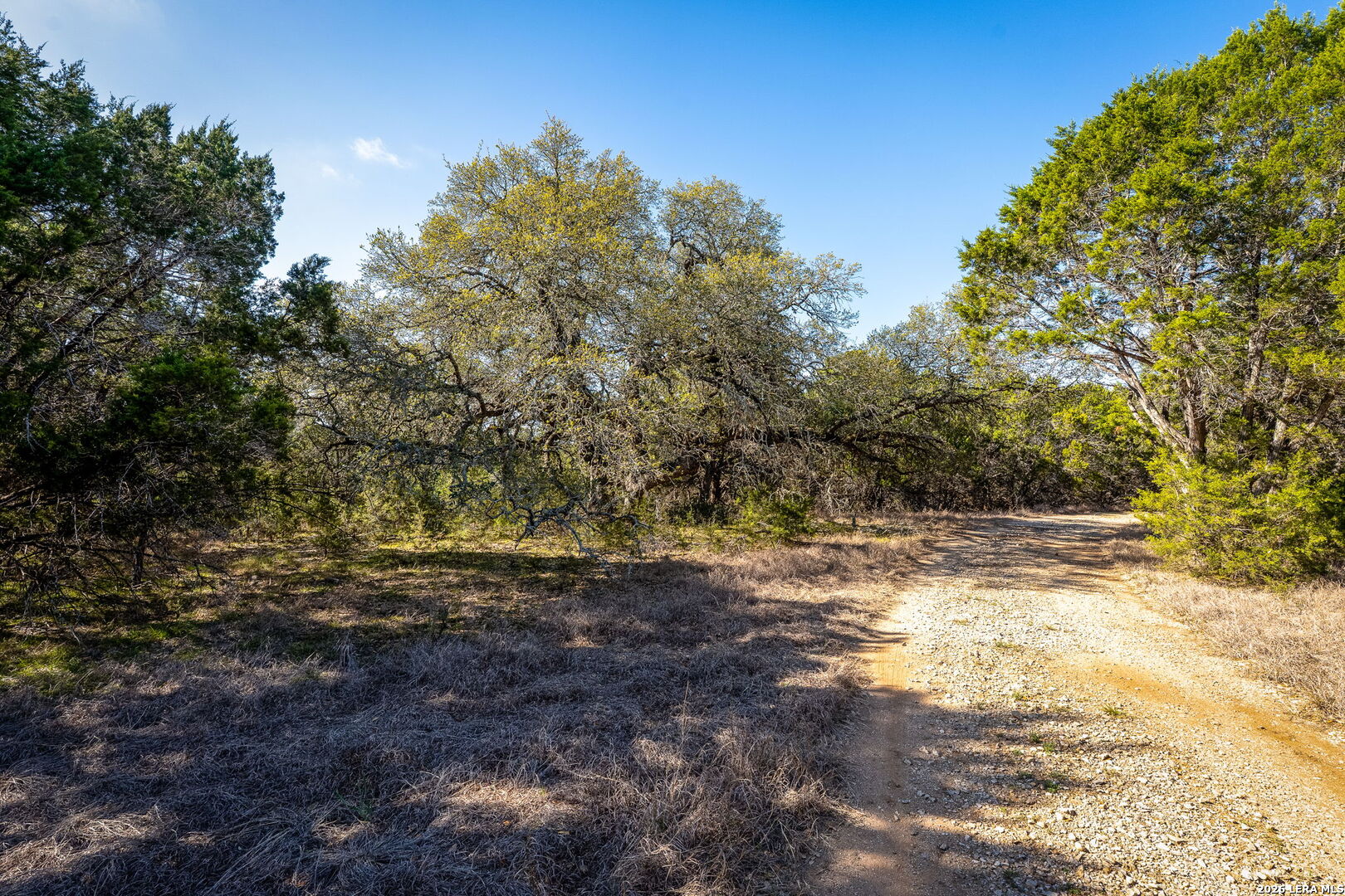 487 Old Bear Creek New Braunfels TX 78132