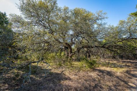 487 Old Bear Creek New Braunfels TX 78132