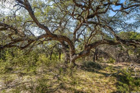 487 Old Bear Creek New Braunfels TX 78132
