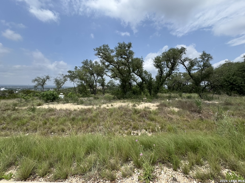 686 Butler Oaks Bulverde TX 78163