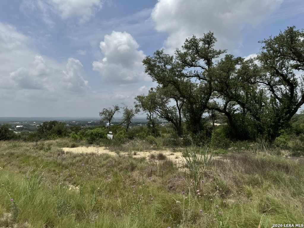 686 Butler Oaks Bulverde TX 78163