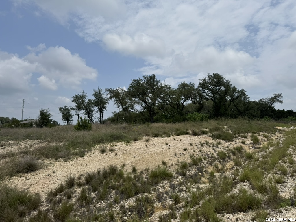 686 Butler Oaks Bulverde TX 78163