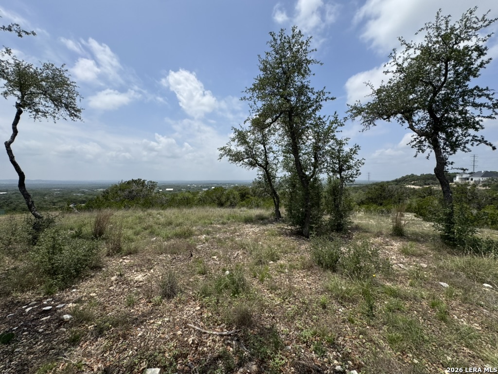 686 Butler Oaks Bulverde TX 78163