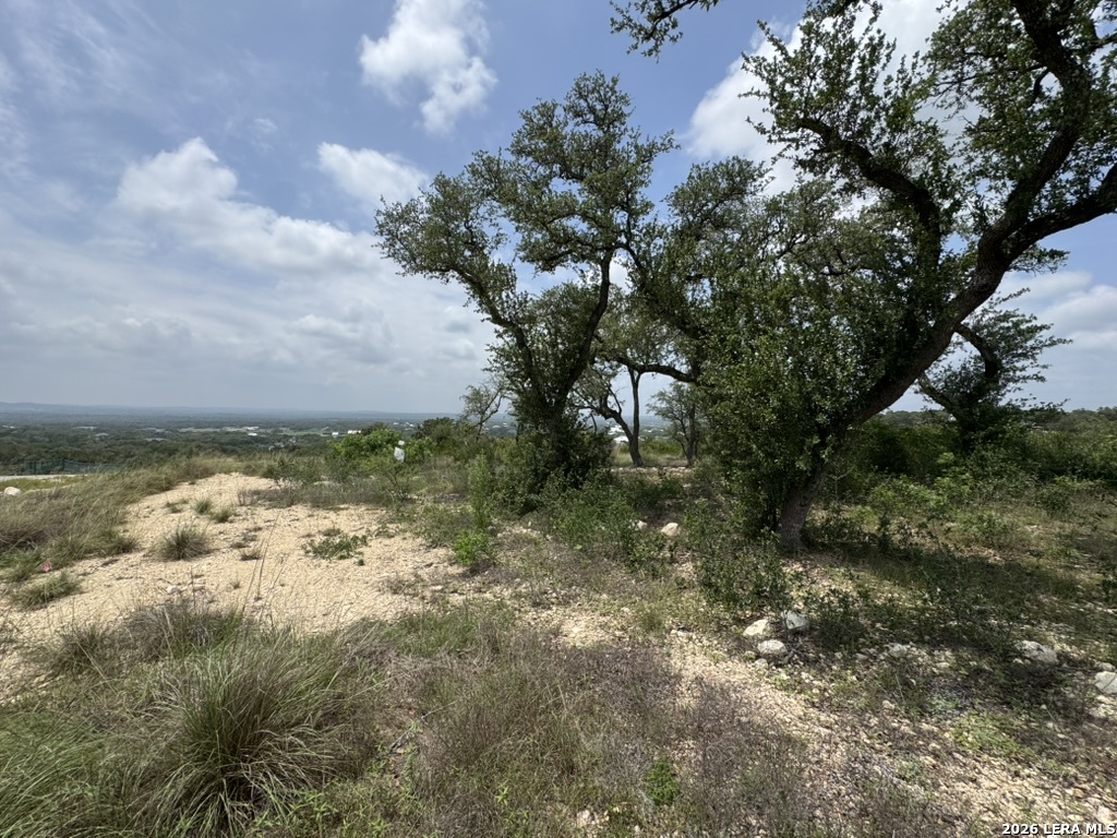686 Butler Oaks Bulverde TX 78163