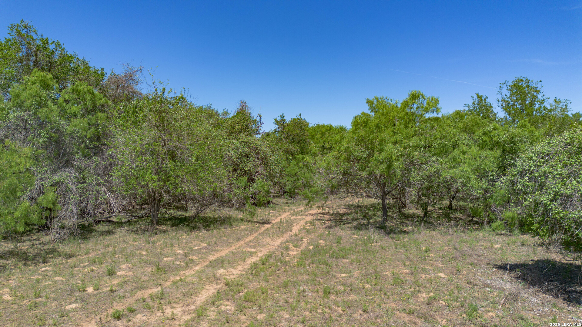 Tbd Fm 477 Seguin TX 78155
