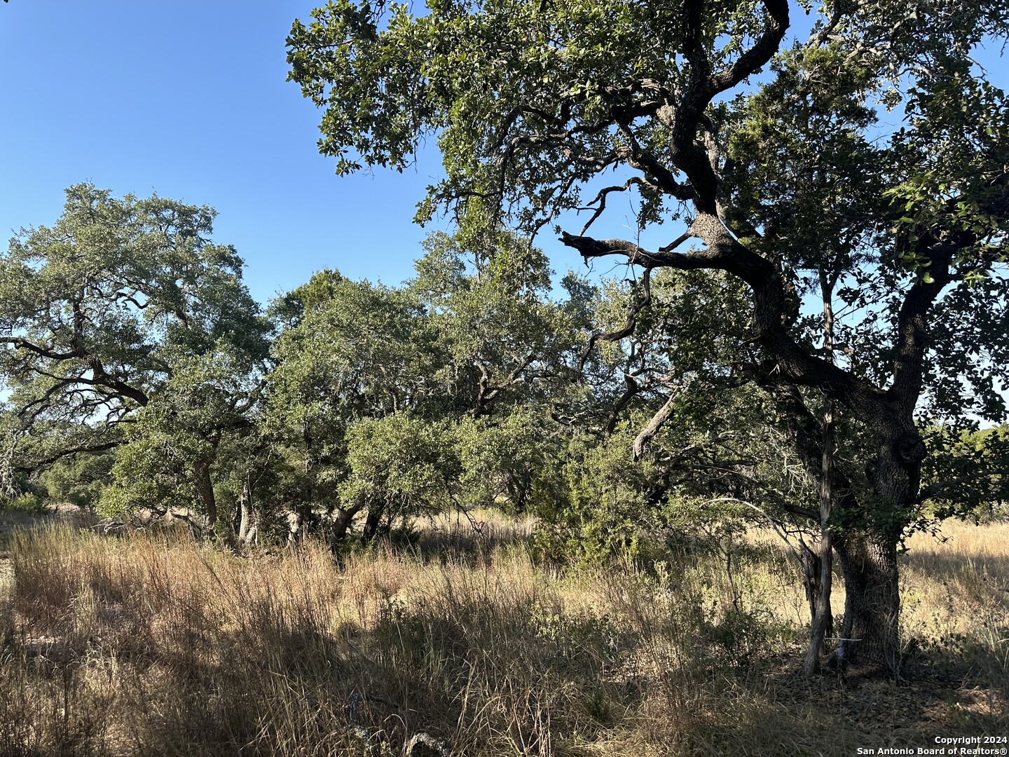 8511 Wegner Road New Braunfels TX 78132