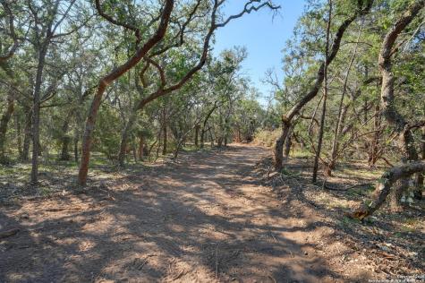 Tract 2 Pierson Road Blanco TX 78606