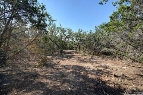 Tract 2 Pierson Road Blanco TX 78606