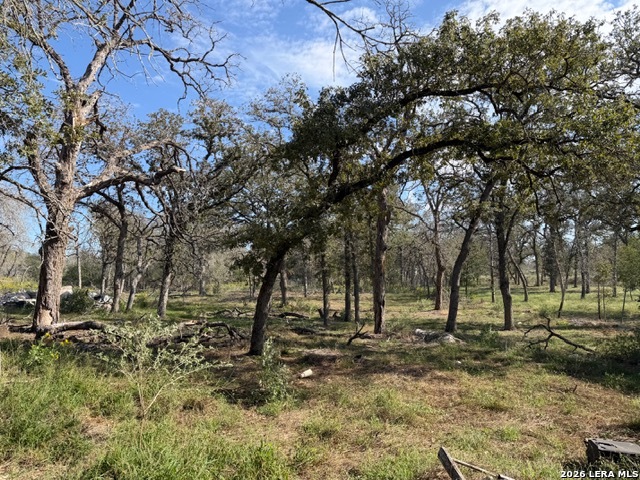 203 Flores Oaks Drive Floresville TX 78114