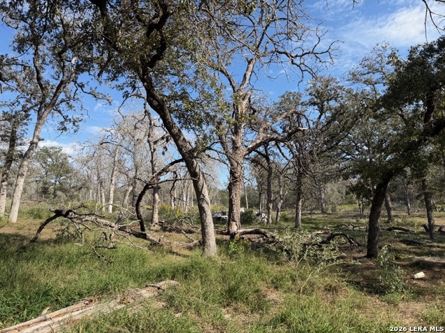 203 Flores Oaks Drive Floresville TX 78114
