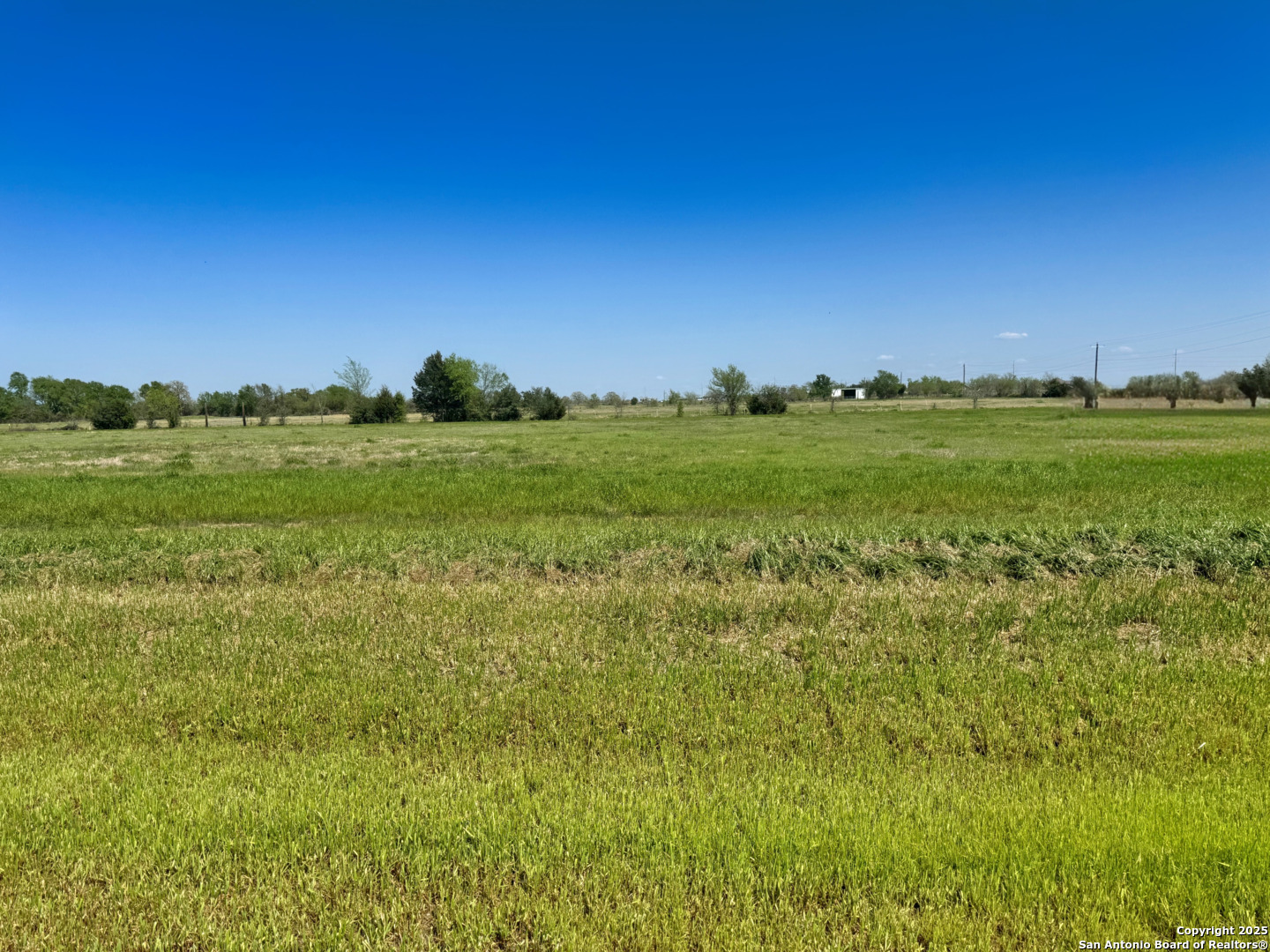 9892 Panther Creek Drive Iola TX 77861