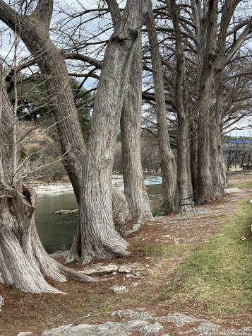 198 Sitting Bull Trail Canyon Lake TX 78133