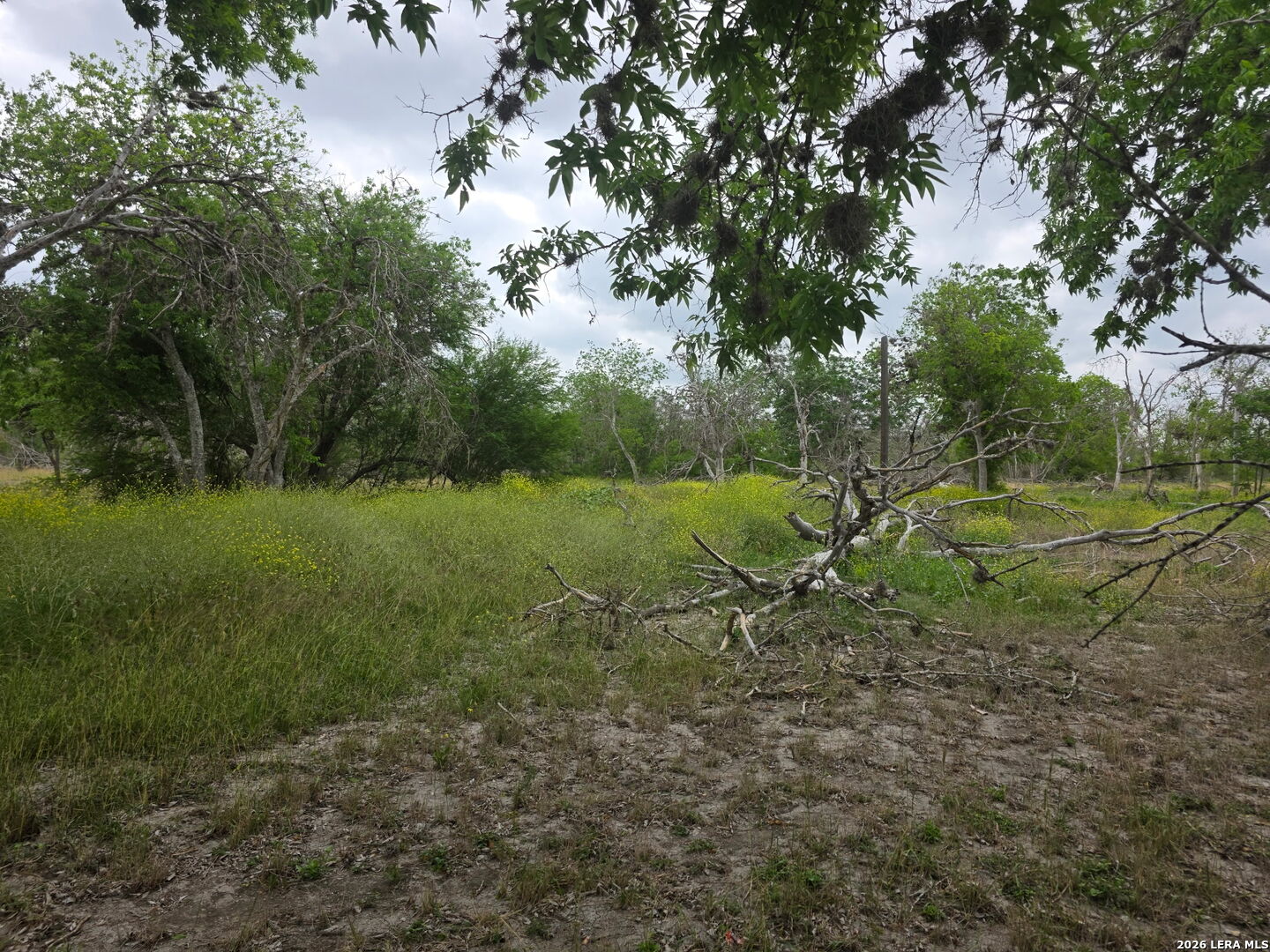 2328 E Chavaneaux San Antonio TX 78214