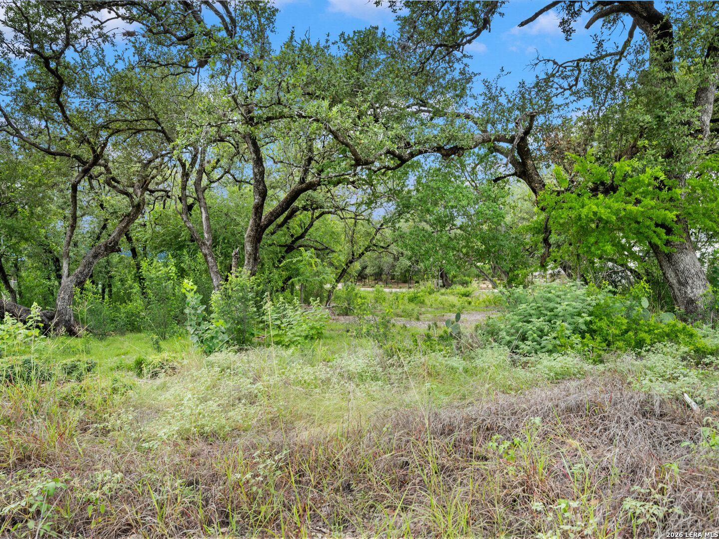 11 Viewpark San Antonio TX 78230