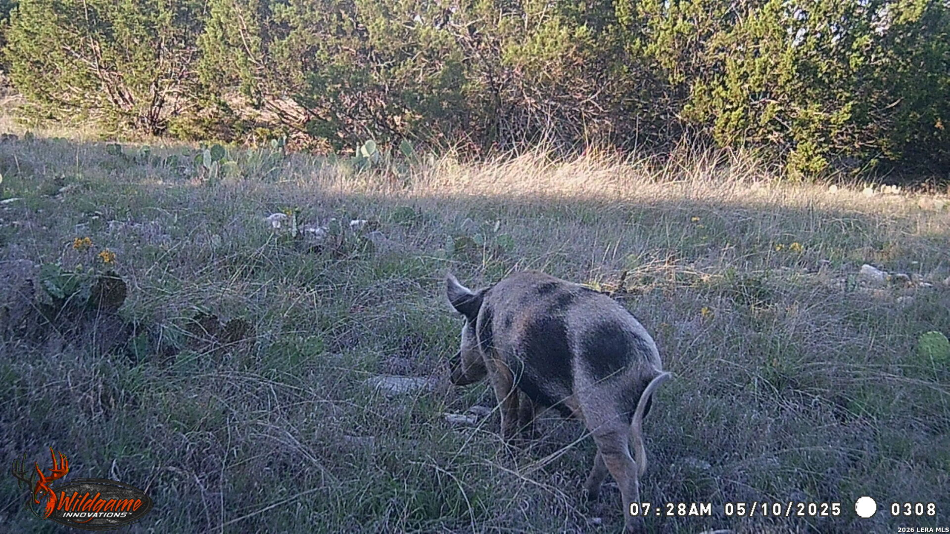 3527 Stapp Ranch Mountain Home TX 78058