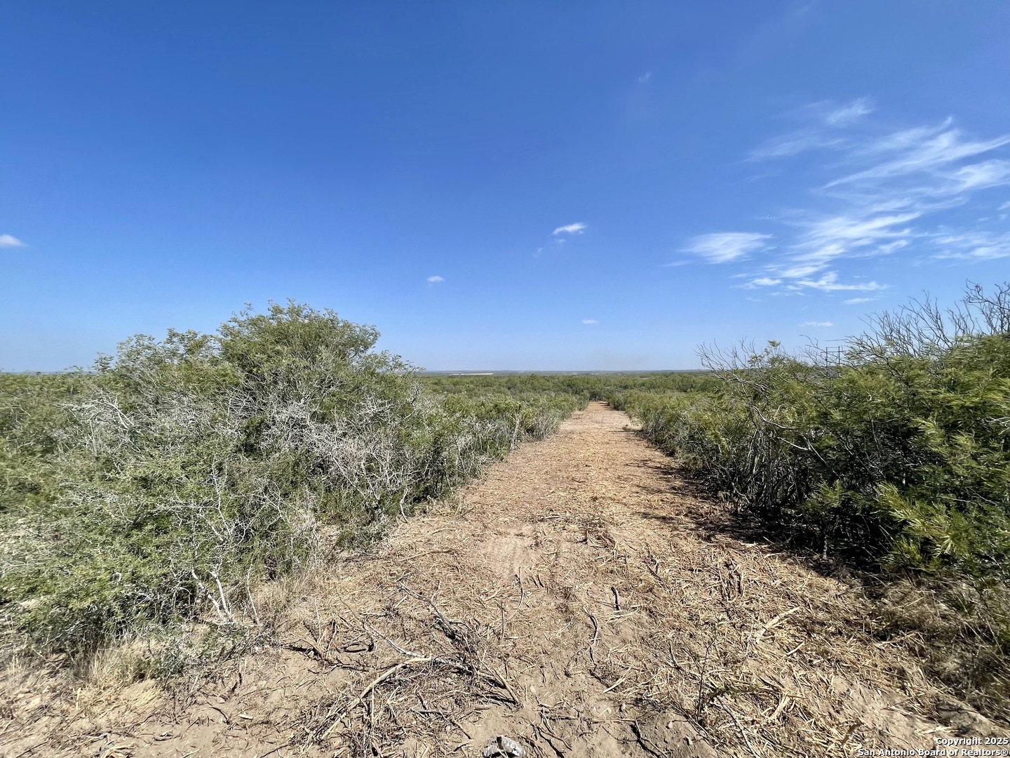 3272 County Road 1515 Moore TX 78057