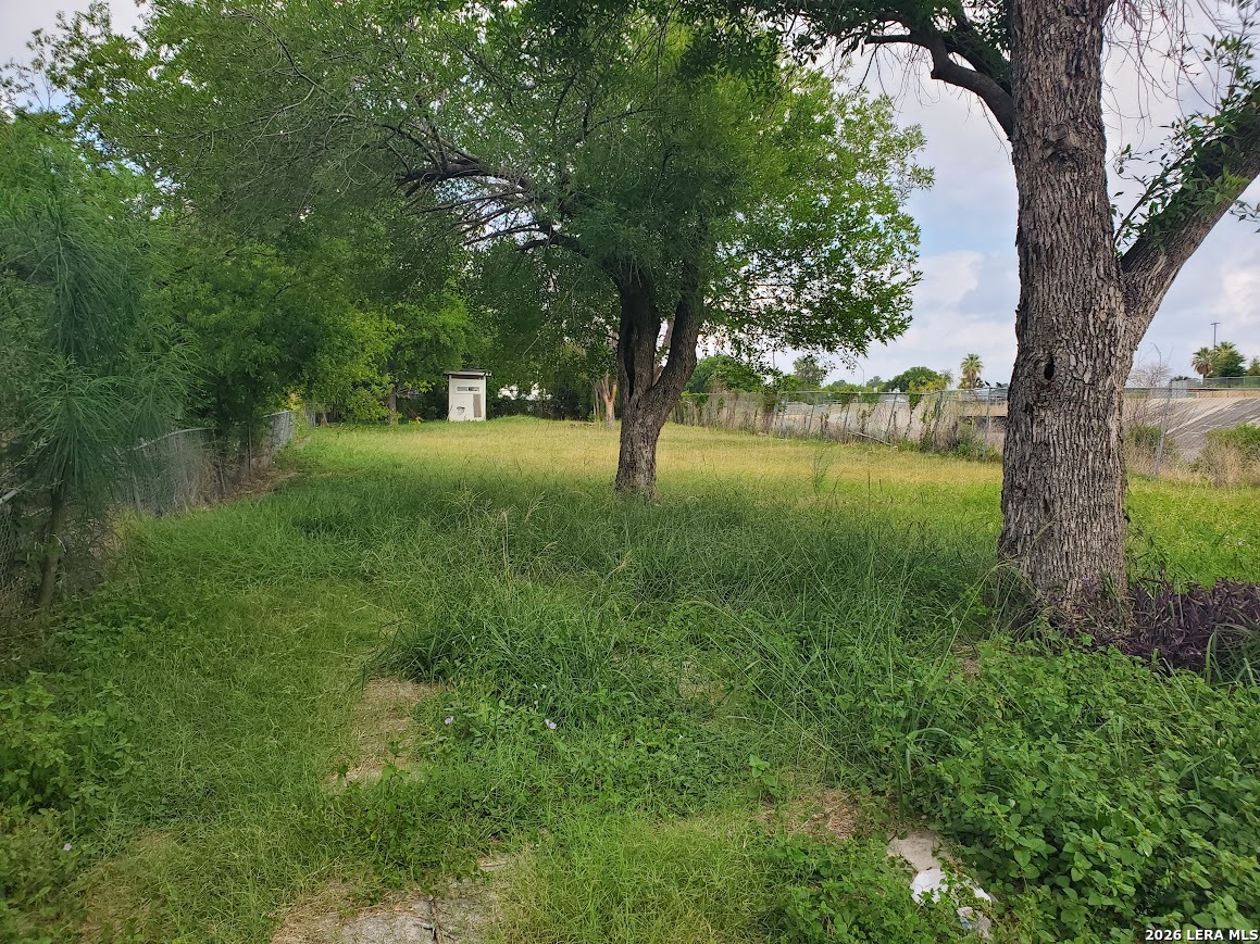 1915 N Hamilton Street San Antonio TX 78201