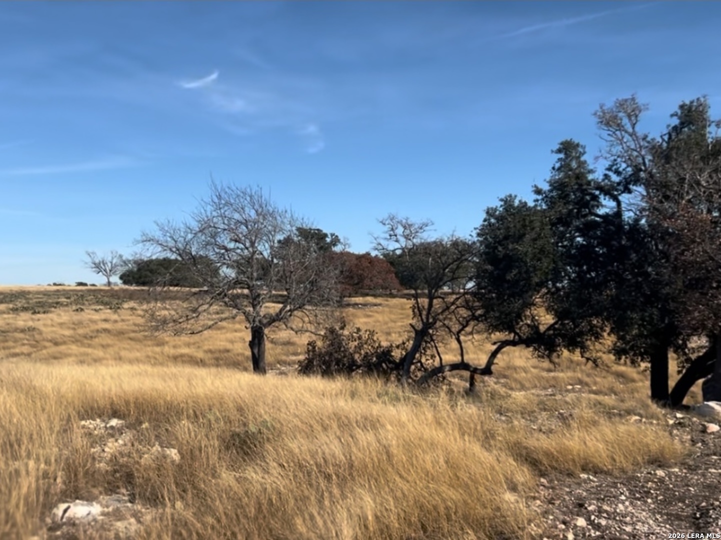Lot 162 Cattlemans Crossing Drive Kerrville TX 78028