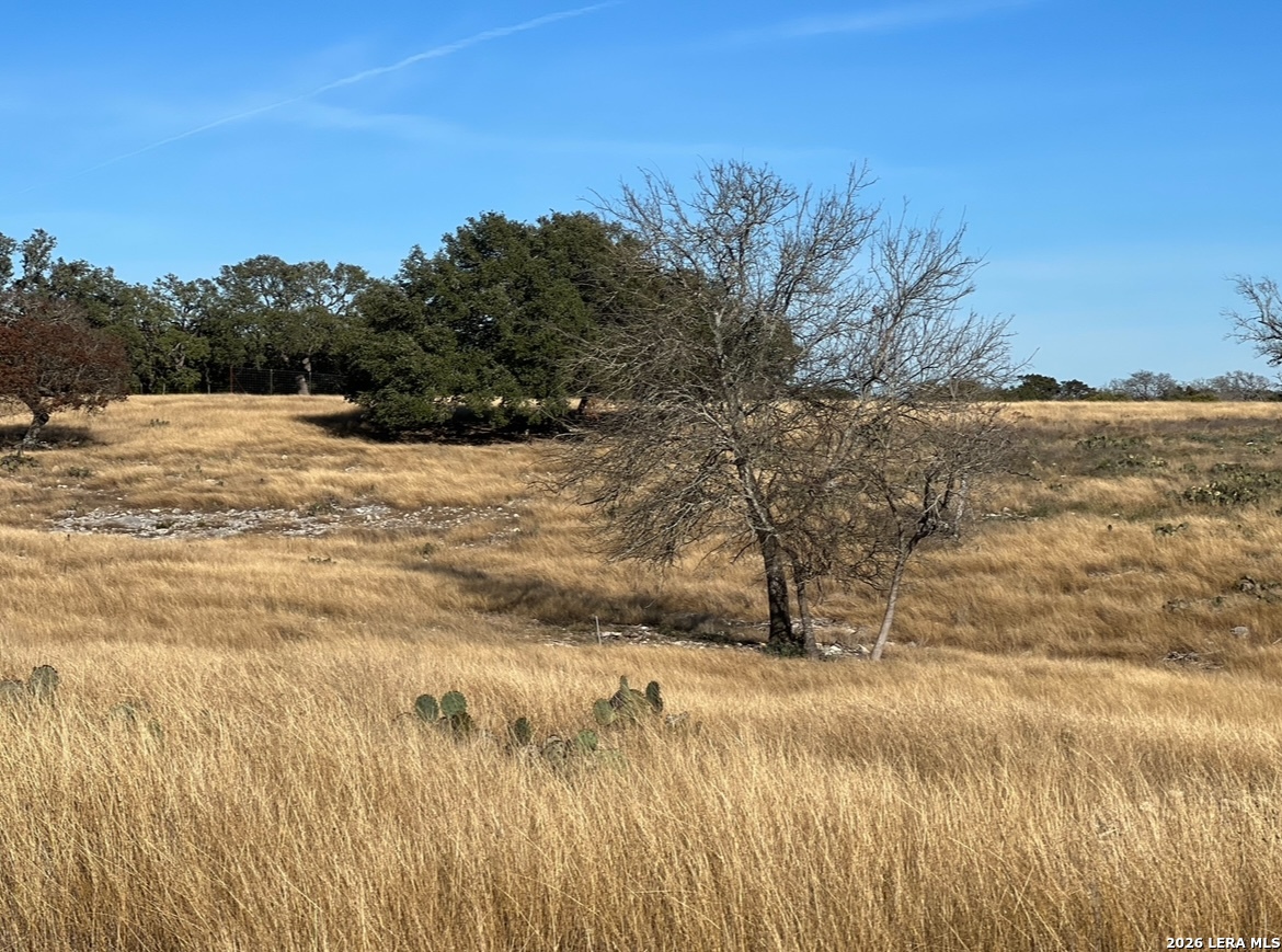 Lot 162 Cattlemans Crossing Drive Kerrville TX 78028