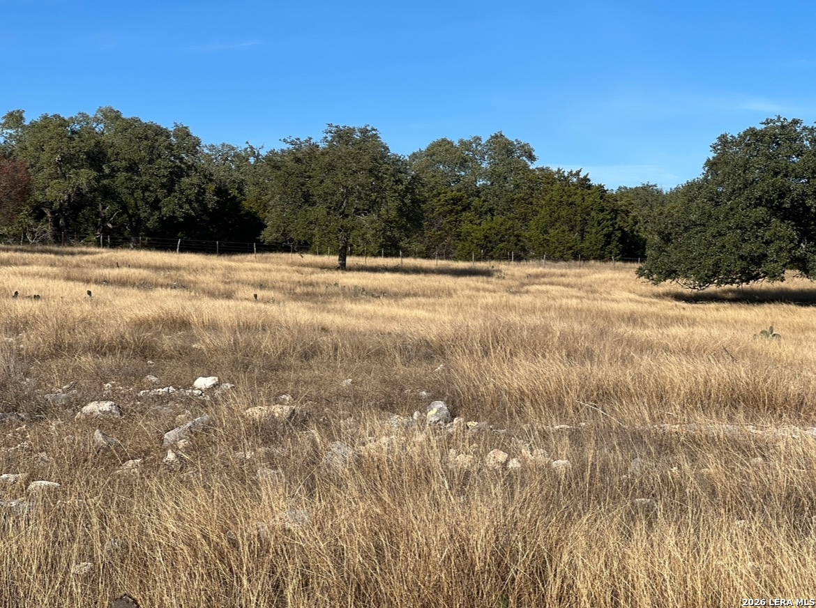 Lot 162 Cattlemans Crossing Drive Kerrville TX 78028