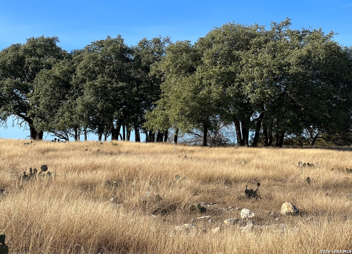 Lot 162 Cattlemans Crossing Drive Kerrville TX 78028