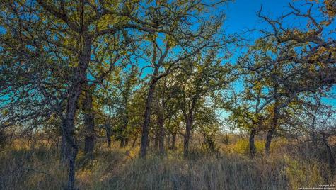 5040 W State Highway 29 Mason TX 76856
