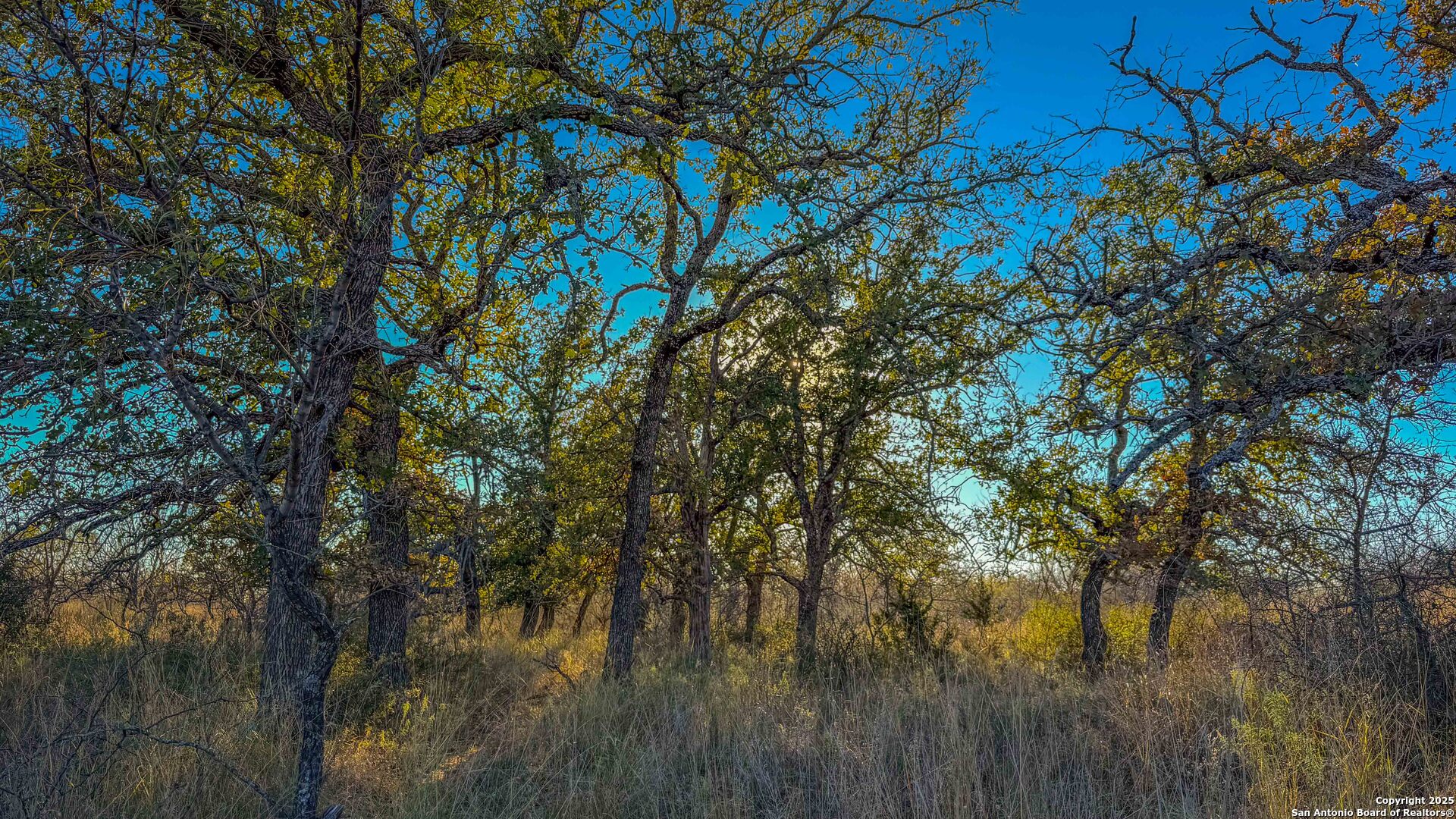 5040 W State Highway 29 Mason TX 76856