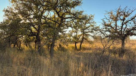 5040 W State Highway 29 Mason TX 76856