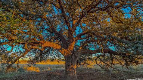 5040 W State Highway 29 Mason TX 76856