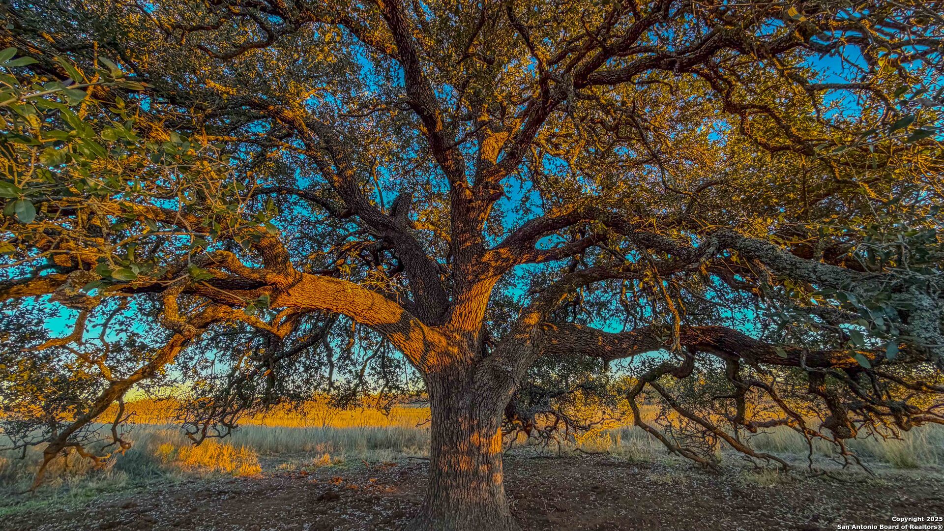 5040 W State Highway 29 Mason TX 76856