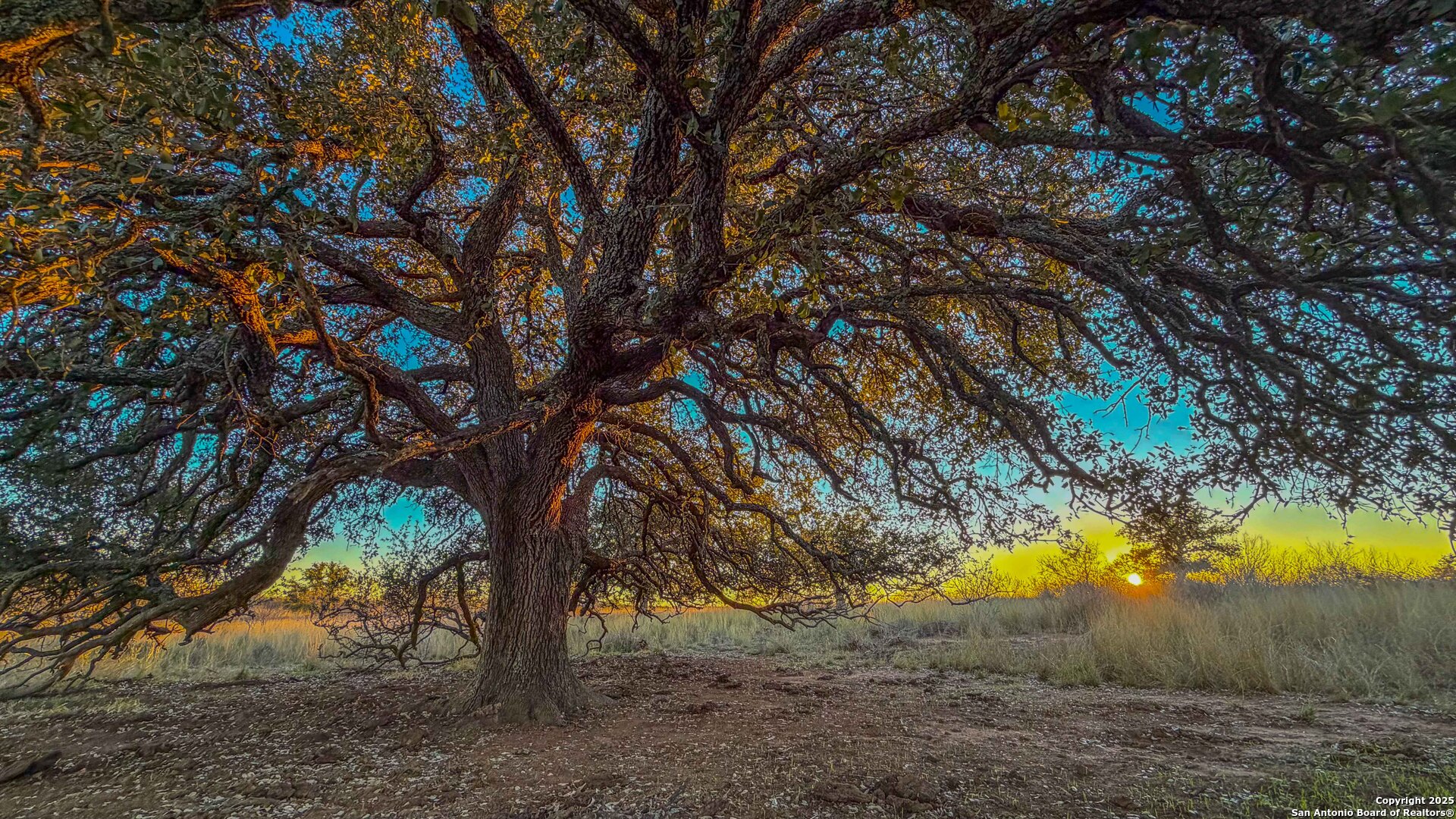 5040 W State Highway 29 Mason TX 76856
