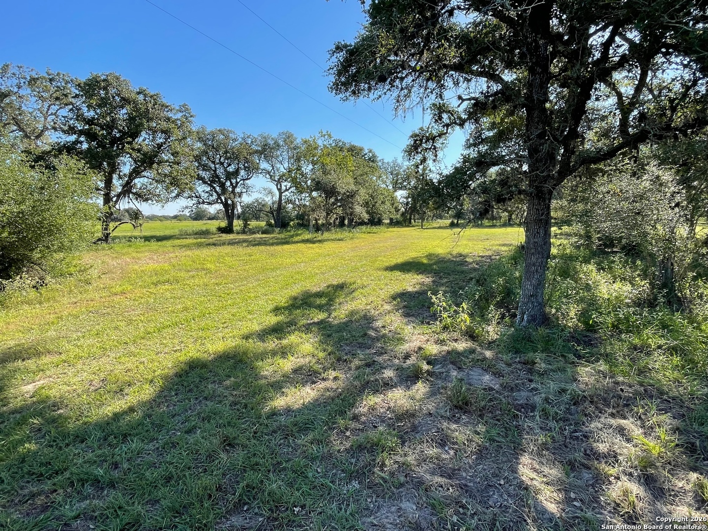 3745 Cattle Guard (TBD) Cuero TX 77954
