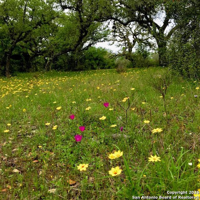 3745 Cattle Guard (TBD) Cuero TX 77954
