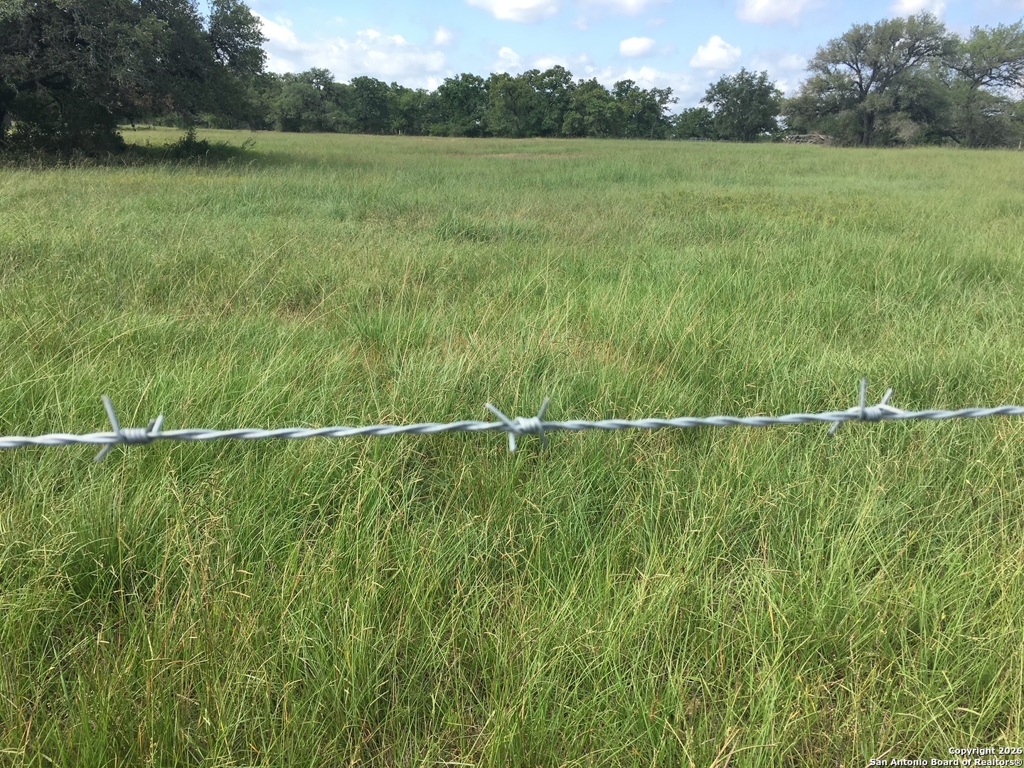 3745 Cattle Guard (TBD) Cuero TX 77954