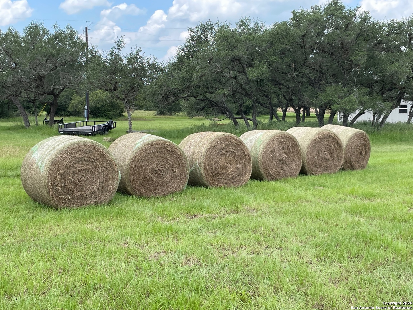 3745 Cattle Guard (TBD) Cuero TX 77954