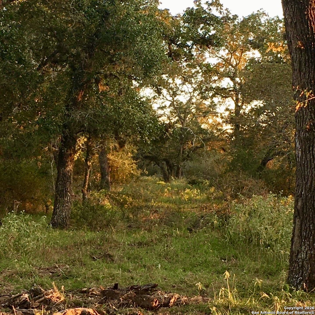 3745 Cattle Guard (TBD) Cuero TX 77954